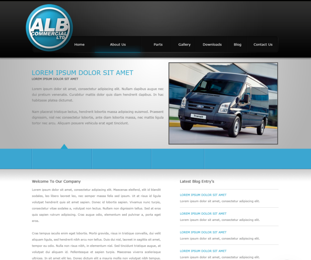 Website project