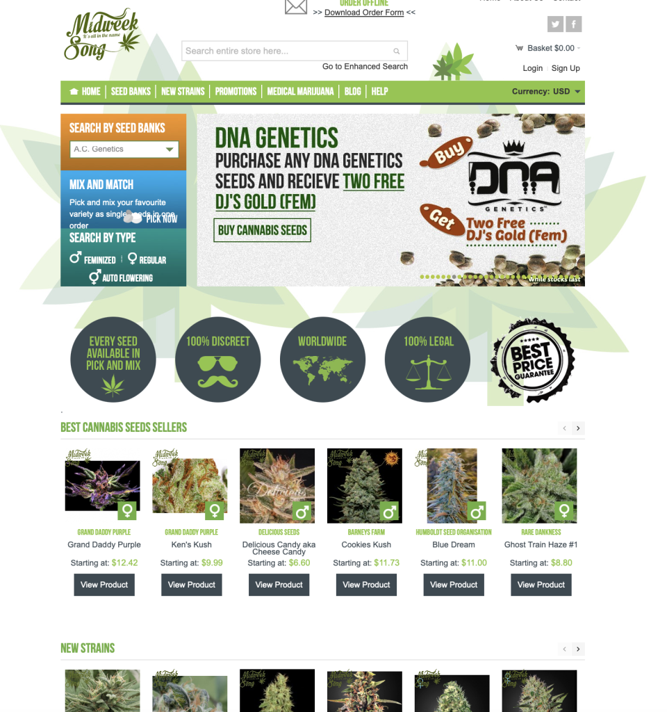 Website project