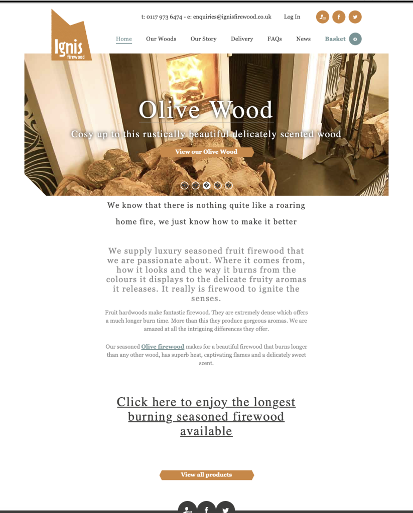 Website project