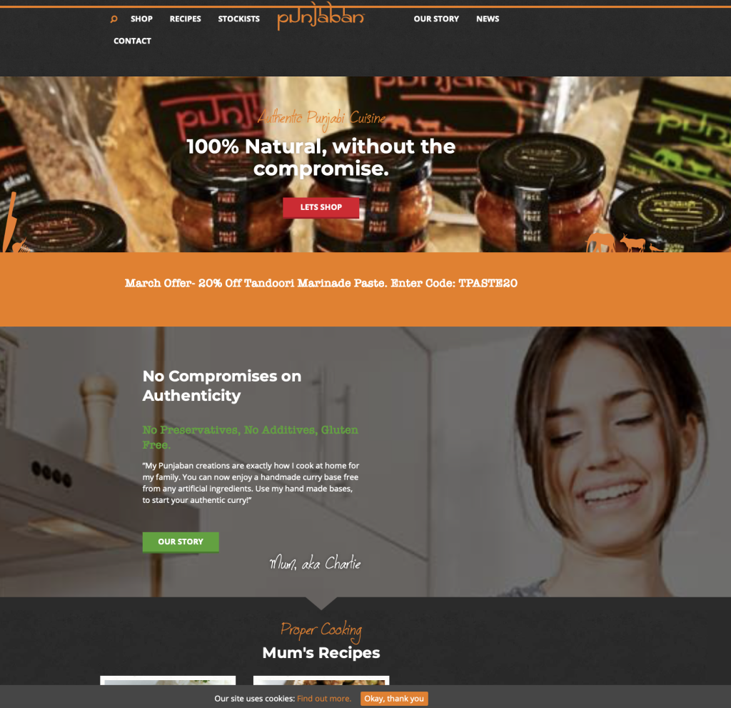 Website project